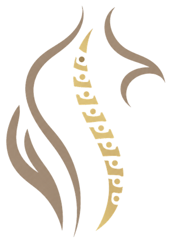 SpineFun